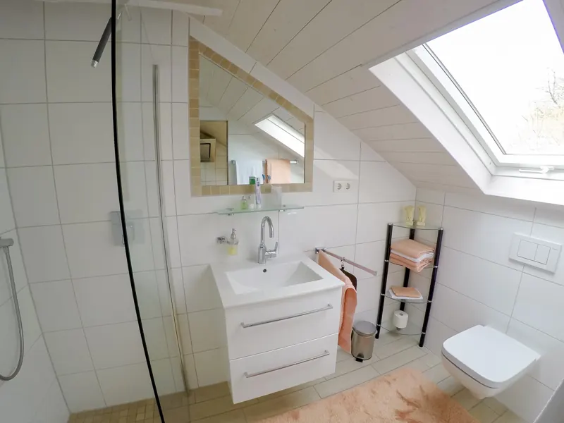 Modernes Duschbad mit Dachfenster